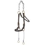 Training Halter with Chain