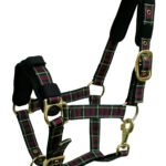 Webbing Halter w/snap