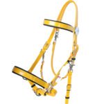 FIRST CHOICE Endurance Bridle