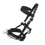 Lunging Cavesson Halter