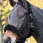 Fluffy Faux Fur Headcollar