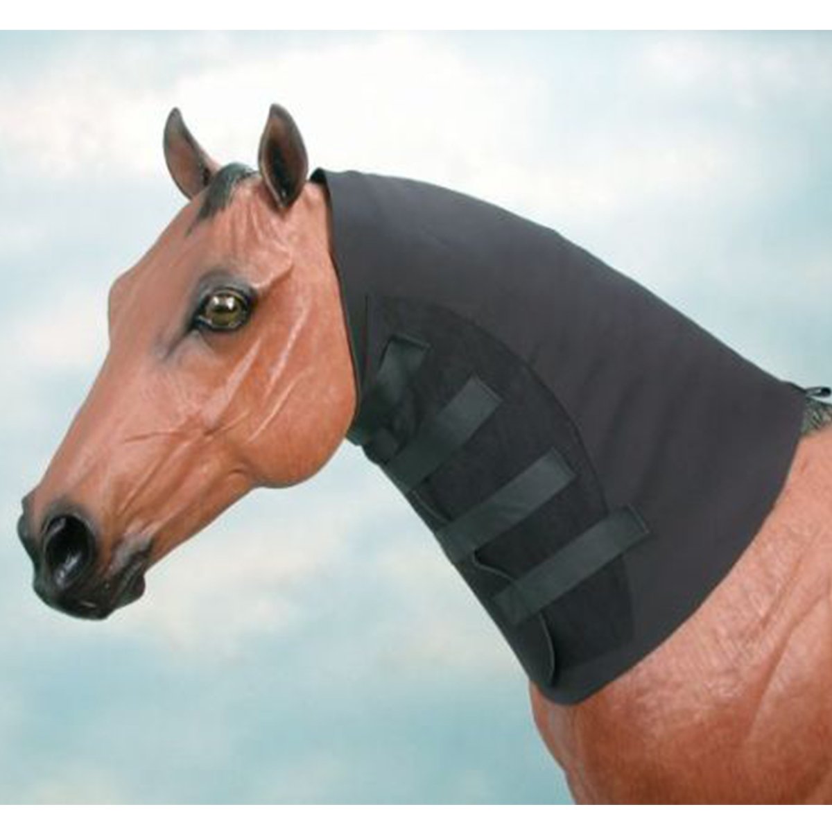 Neoprene Sweat Neck Horse Pride