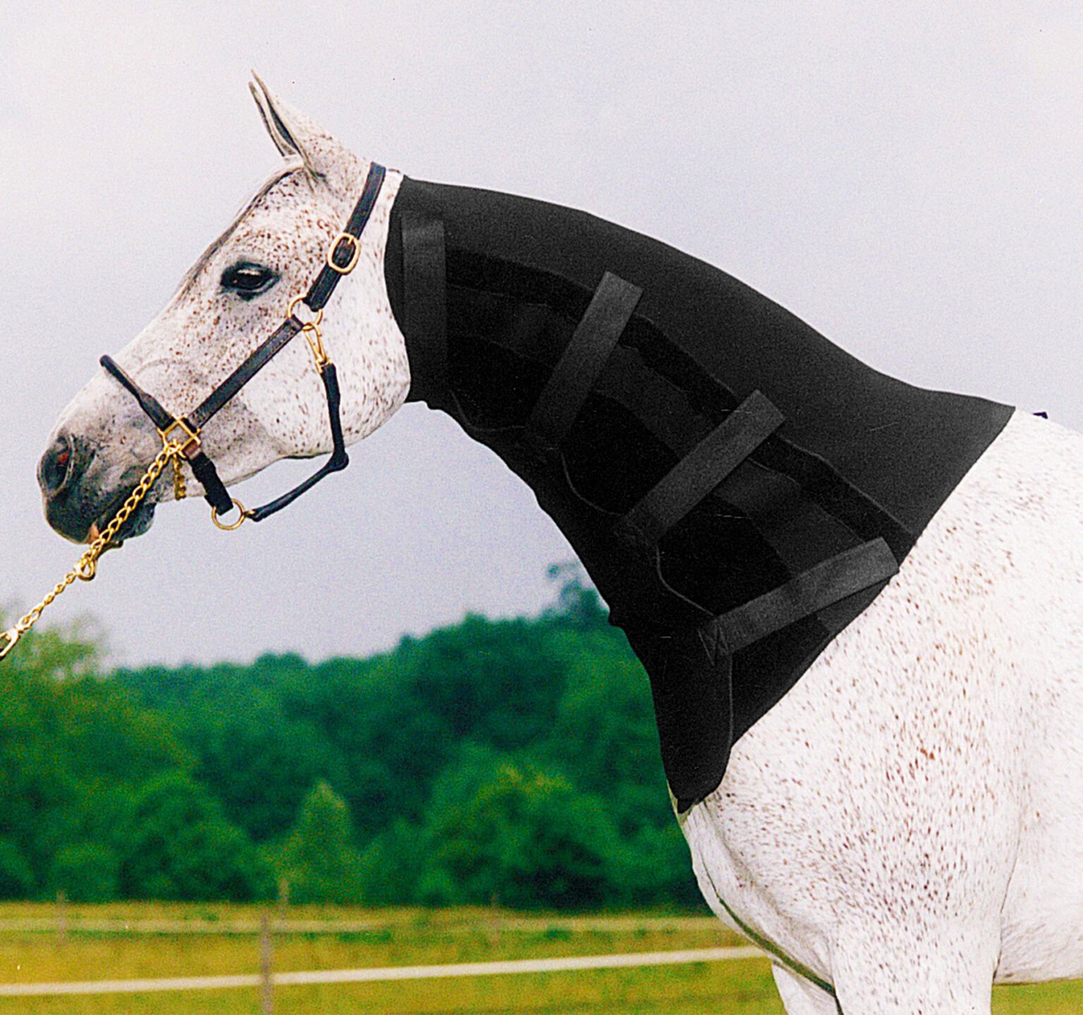 Full Neck Sweat Horse Pride