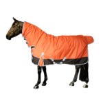 Winter Turnout Rug