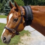 Fleece Sweat Neck Double Velcro