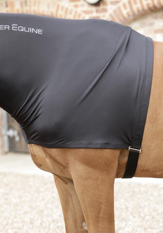 The Premier Equine Stretch Lycra Hood – Horse Pride