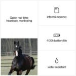 POLAR Equine Health check Handle w/Sensor - Image 5