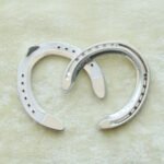 Aluminum Degree Horse Shoe - Image 2