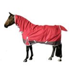 Winter Turnout Rug