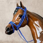 Nylon Bridle w/Rein
