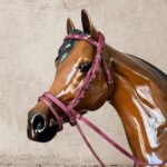 Nylon Bridle w/Rein - Image 3