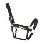 Leather Halter with Plate