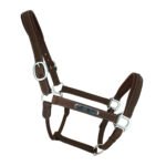 Leather Halter with Plate
