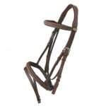 Leather Bridle with Fancy Stitching