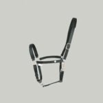 Biothane Halter