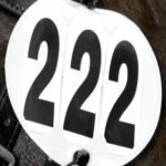 Bridle Numbers, Round