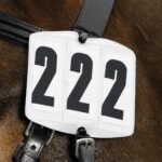 Bridle Numbers, Rectangular