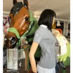 CAVALATTI Riding Ladies T-Shirt - Image 6