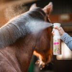 Bense & Eicke Natural Finish 500 ml - Image 2