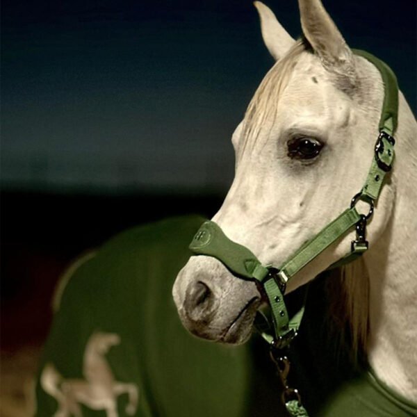 EURO RIDER Fleece Halter