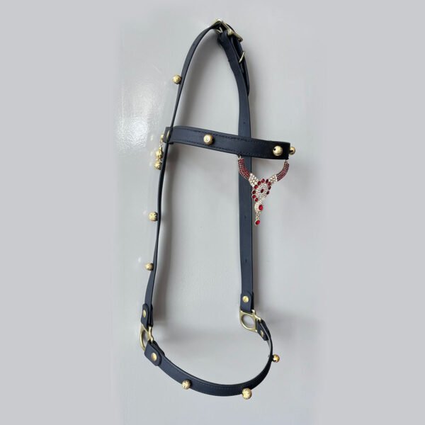 FIRST CHOICE Show Bridle