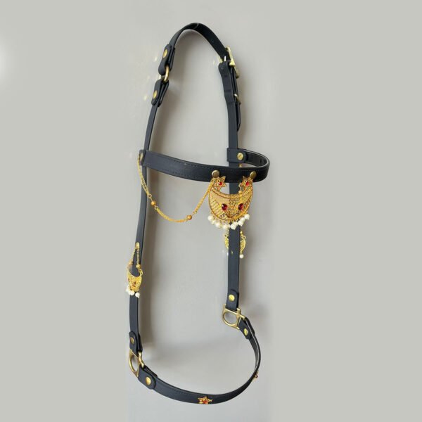 FIRST CHOICE Show Bridle