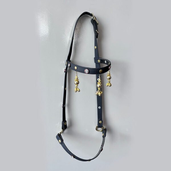 FIRST CHOICE Show Bridle