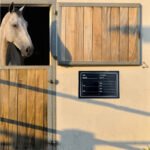 Horse Stall Name Plate
