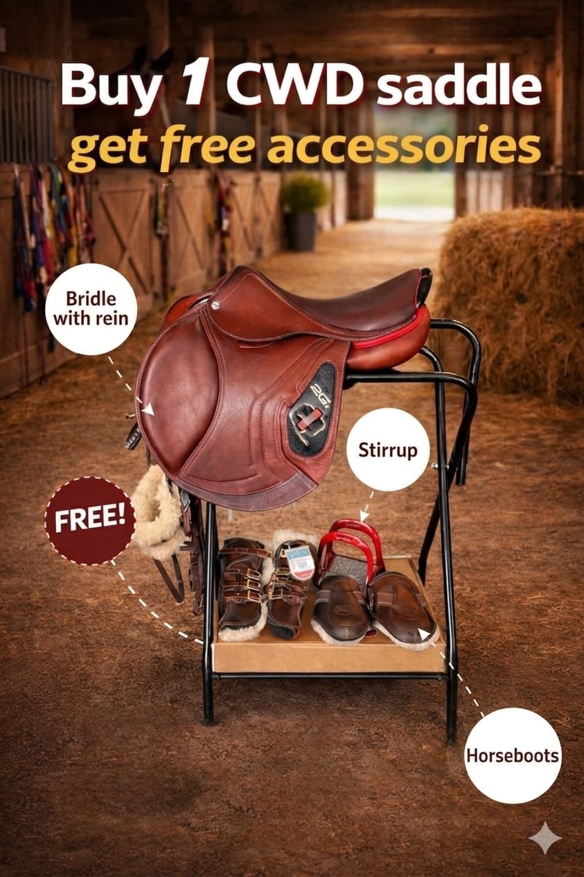 WhatsApp Image 2026-03-30 at 1.45.44 PM CWD 2Gs SADDLE WITH FREE ACCESSORIES - Image 1