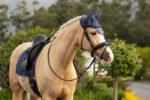 Air-Tek Mesh Fly Hood Shadow - Image 2